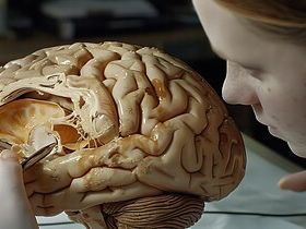 Neuroplastyczność móżdżku – klucz do uczenia się i adaptacji mózgu