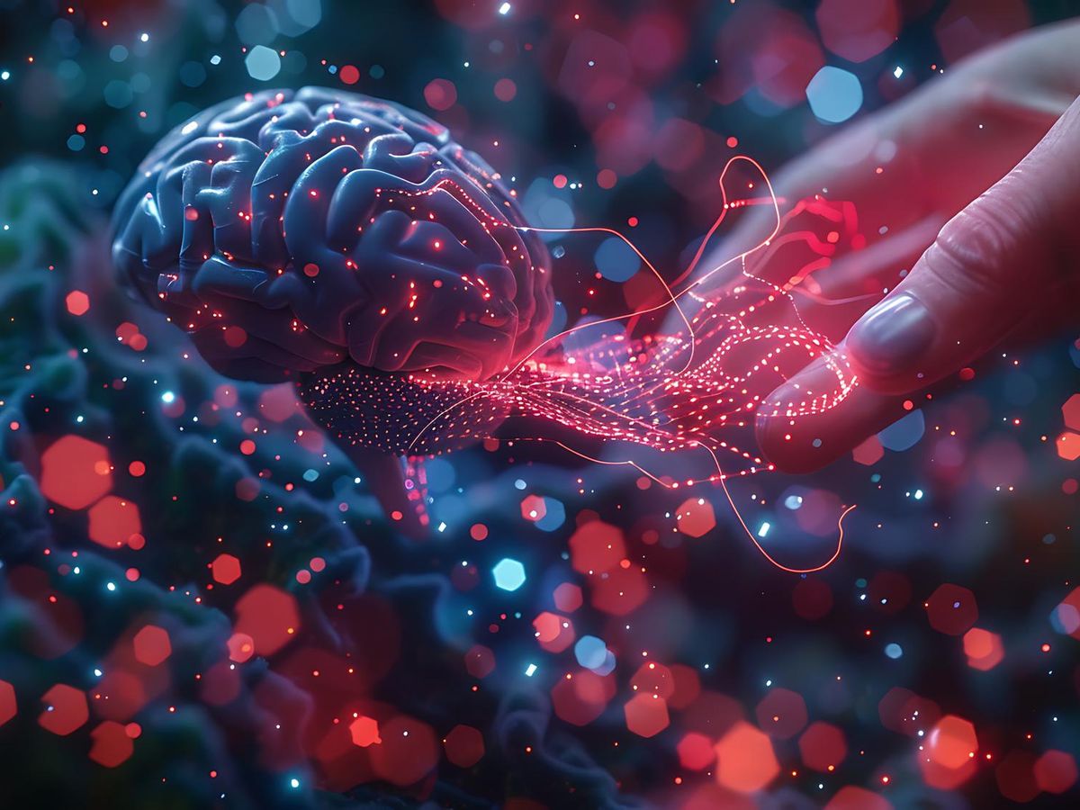Najnowsze odkrycia neurologiczne o móżdżku i ich wpływ na badania układu nerwowego